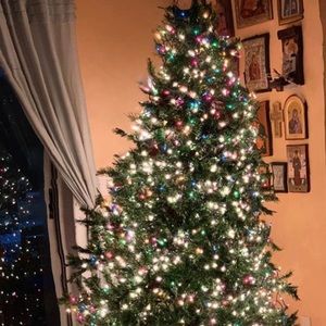 Meet your Posher, Aristea